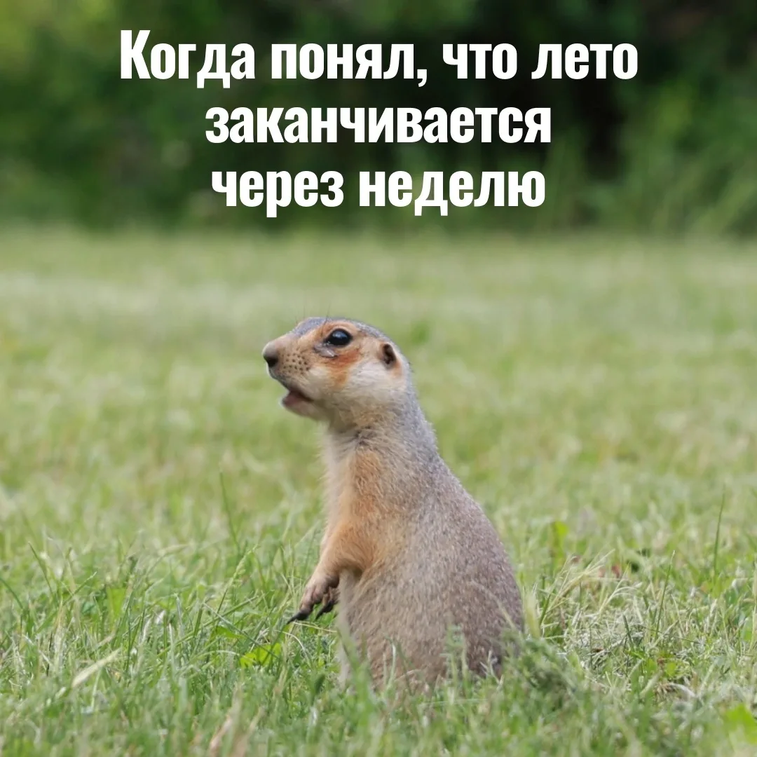 Учебный год на носу! 📆