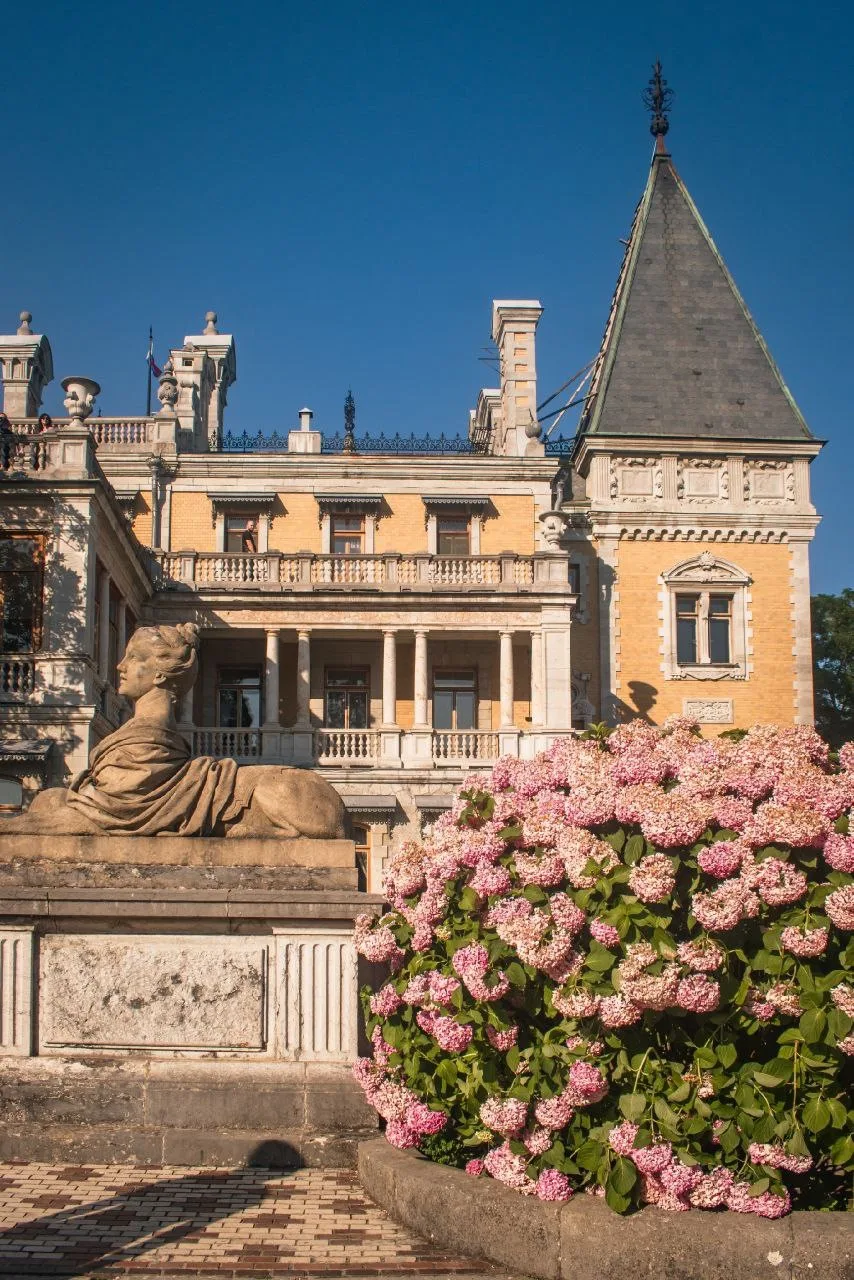🌸🏰Цветущая гортензия в Массандровском дворце
