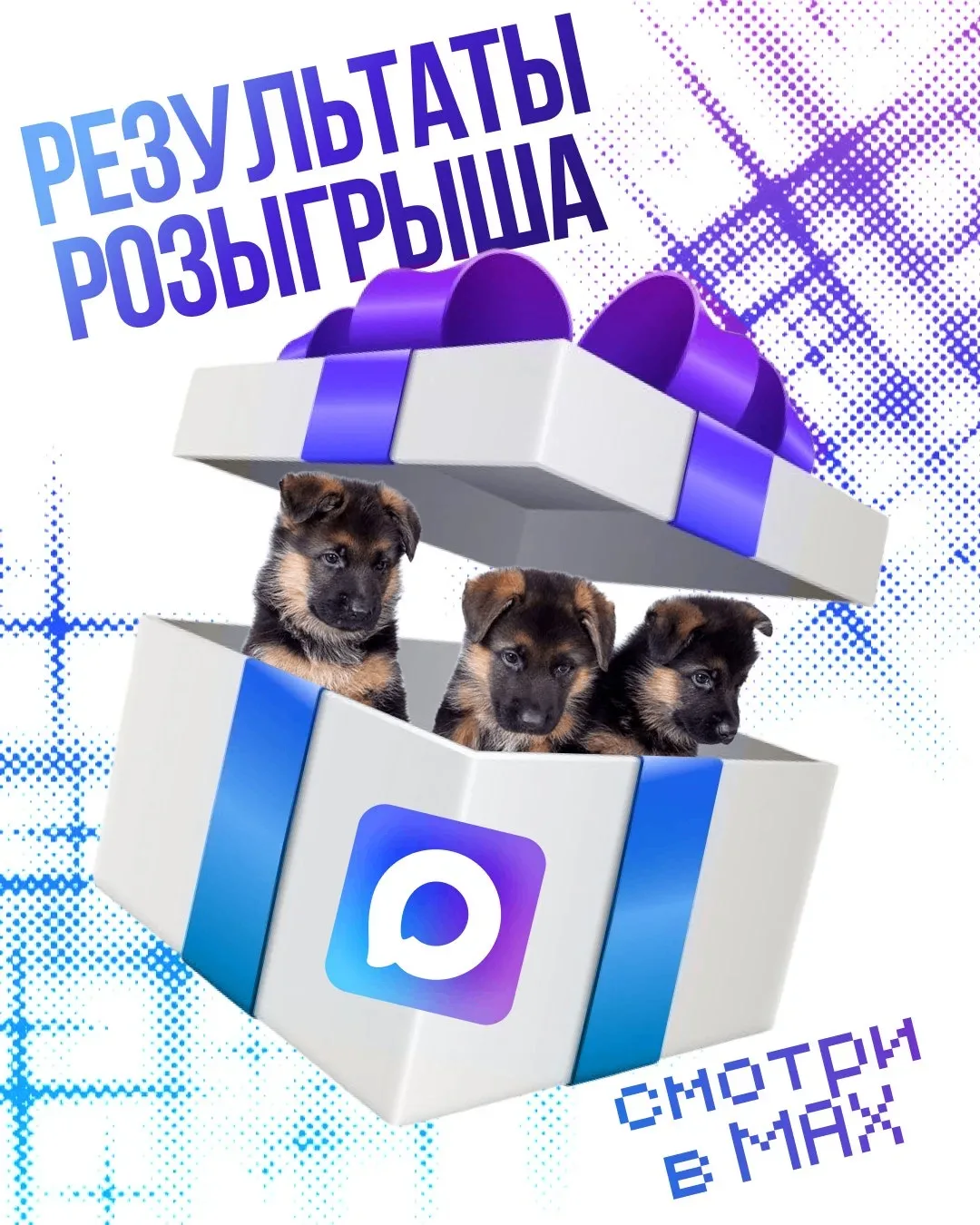 🎉 Результаты розыгрыша: