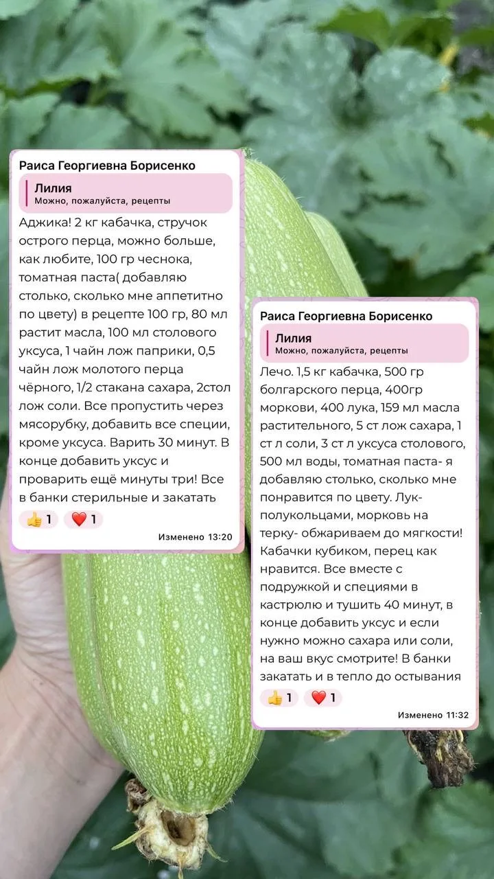 Девочки, вы в комментариях написали столько рецептов из кабачков❤️
Для удобства собрали все в один п