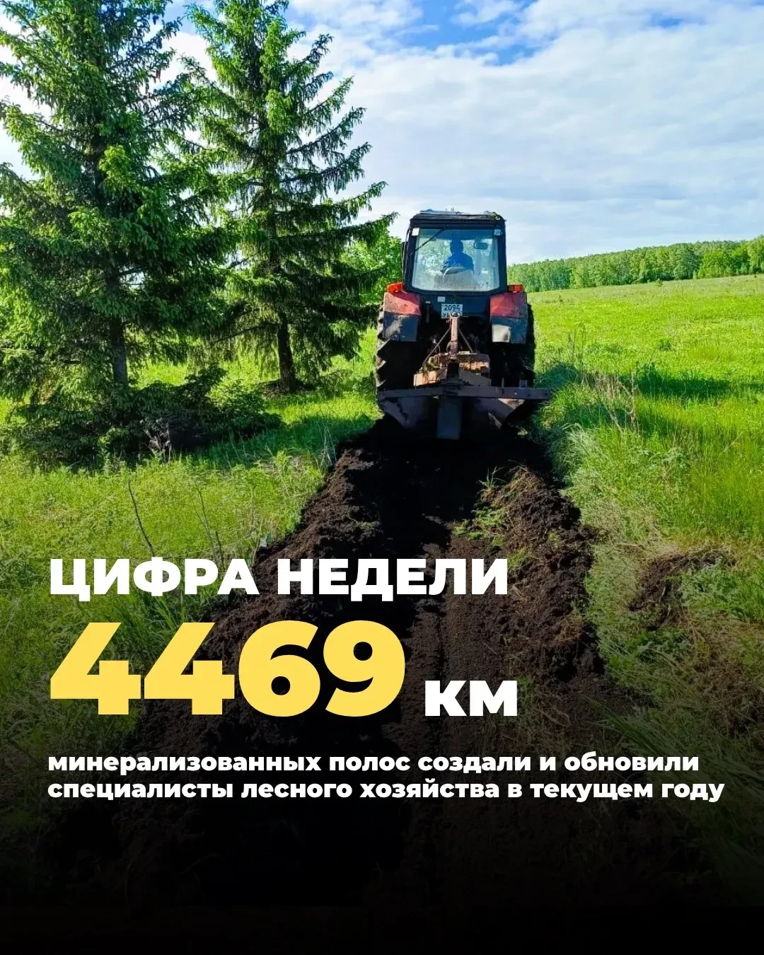 В Башкортостане продолжается активная фаза противопожарного обустройства лесного фонда 📉