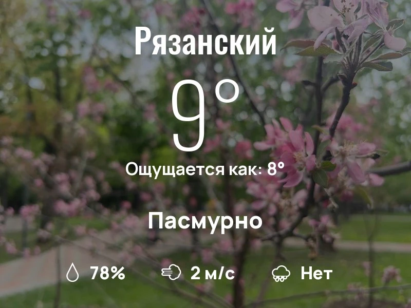 Что с погодой в Рязанском?