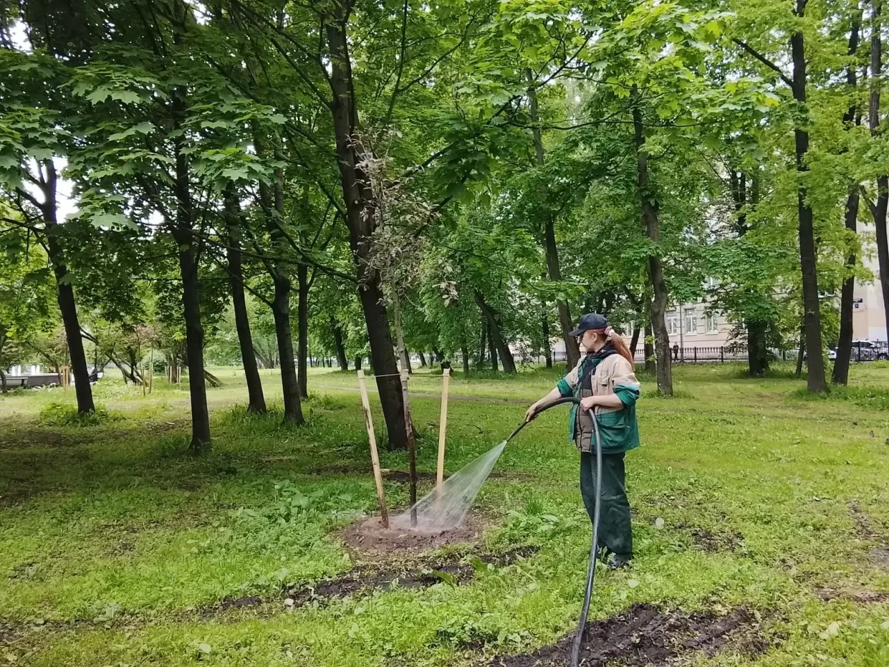 💧☀️Полив растений — залог их развития и процветания☀️💧