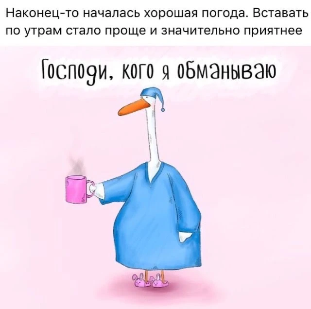🤣