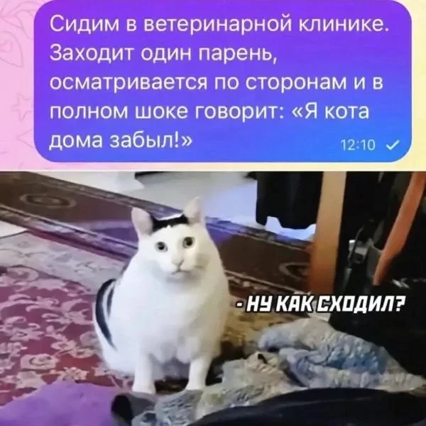 👉Ой, всё! Подписаться