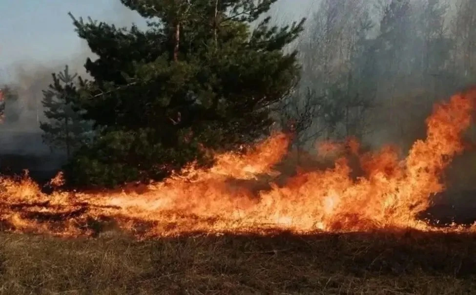 🔥Внимание!