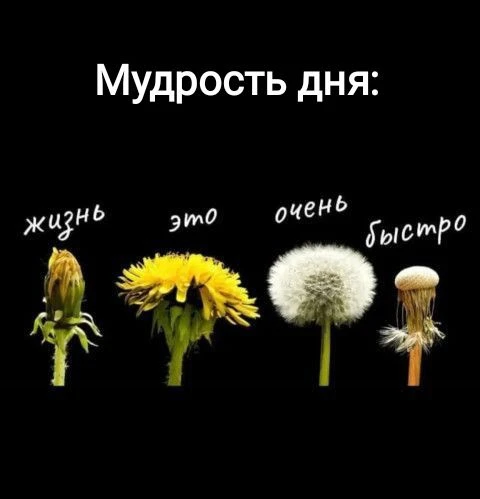 Доброго мудрого дня