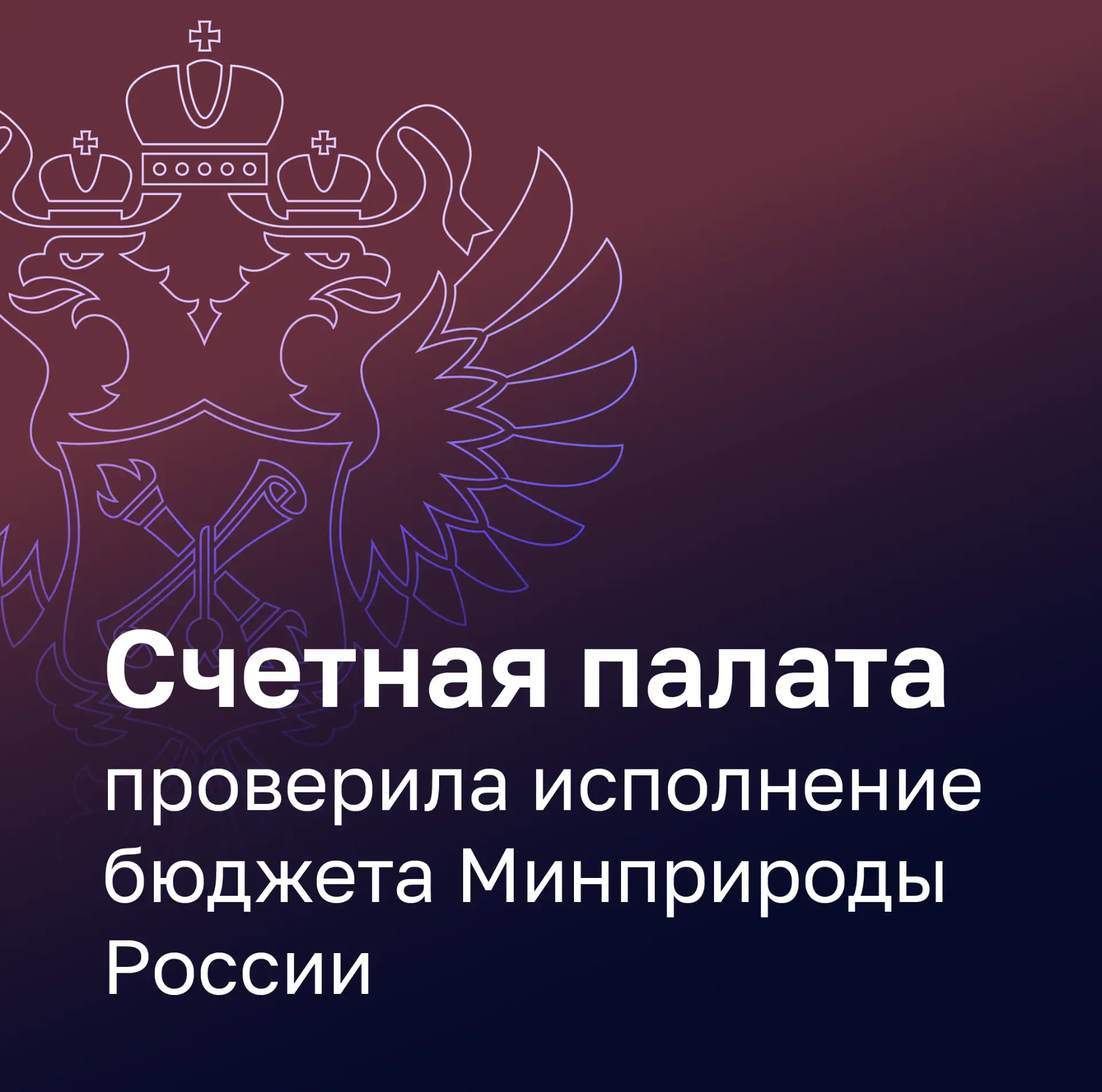 Счетная палата проверила, как в 2025 году исполняло бюджет Минприроды России.
 
Минприроды перевыпол