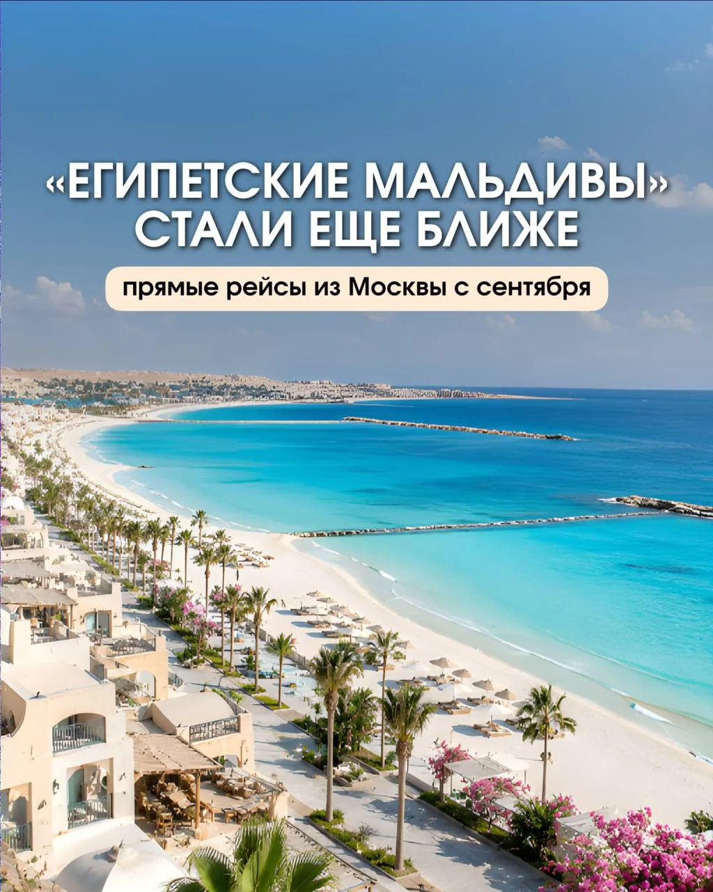 🇪🇬 ЭЛЬ-АЛАМЕЙН СНОВА НА ПРЯМЫХ РЕЙСАХ