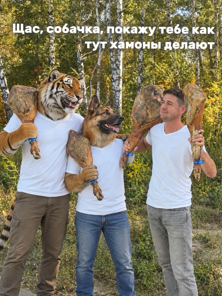 Вот такое вот наше производство хамонов, собачка!🐶