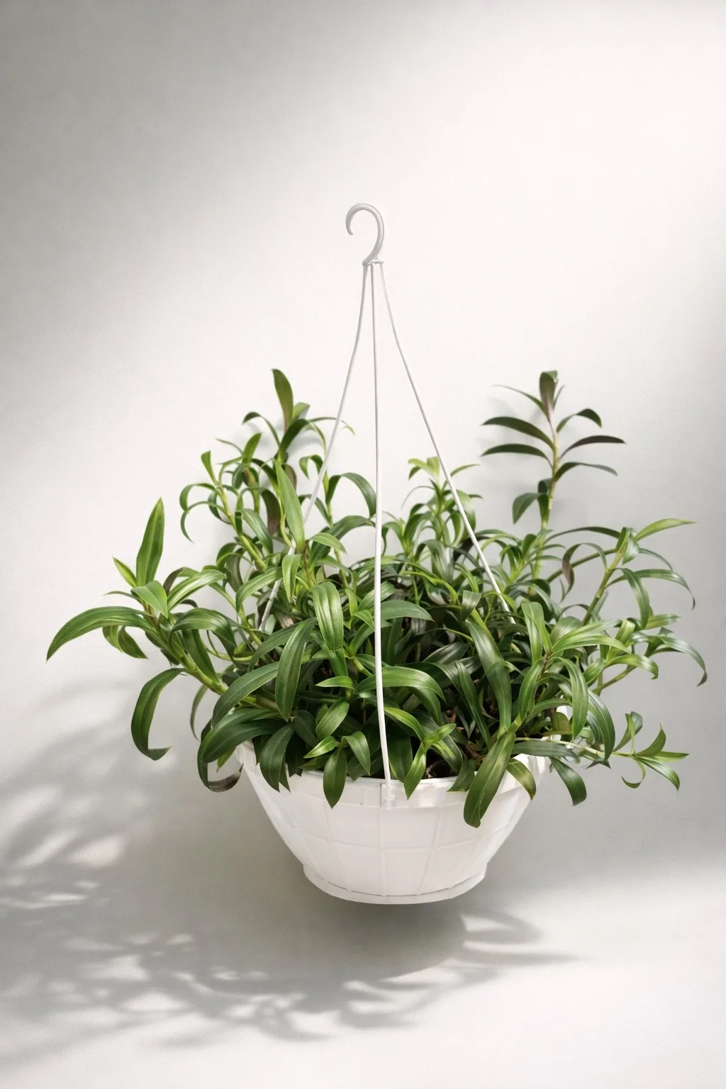 🌱 Зелёный акцент для вашего интерьера 🌱

Горшечные растения — это не просто декор, в живая энергия