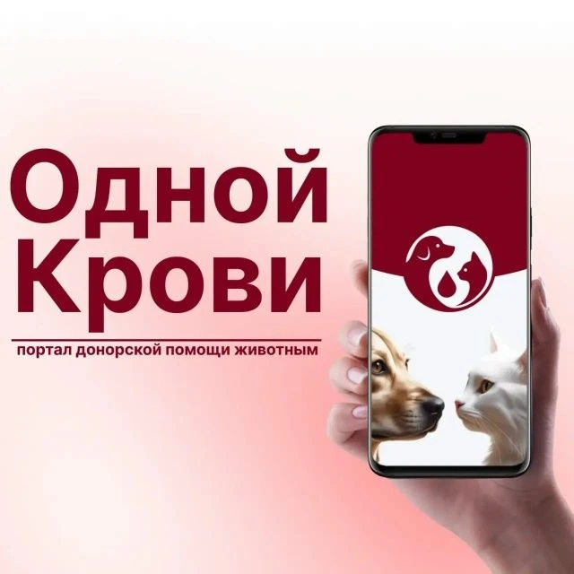 "Одной Крови" - портал донорской помощи животным.
