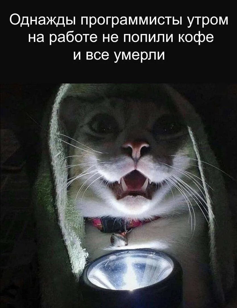 Бу! Испугался?

😎 @localhost_public