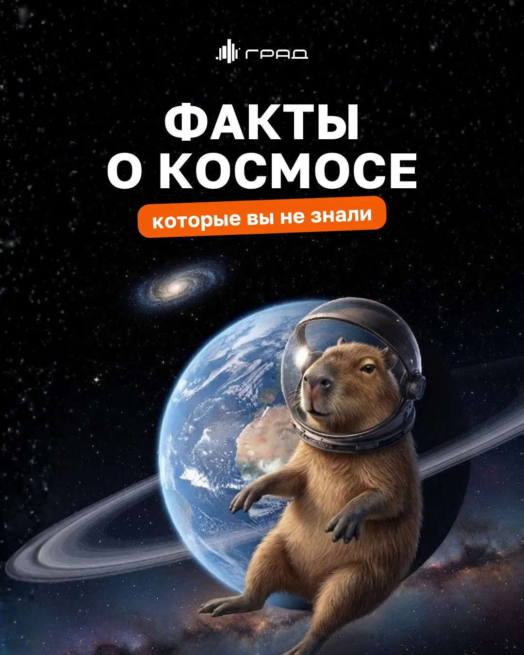 Время раскрыть тайну космоса… И не одну! Друзья, Капи и Бара передали нам информацию с маркировкой «