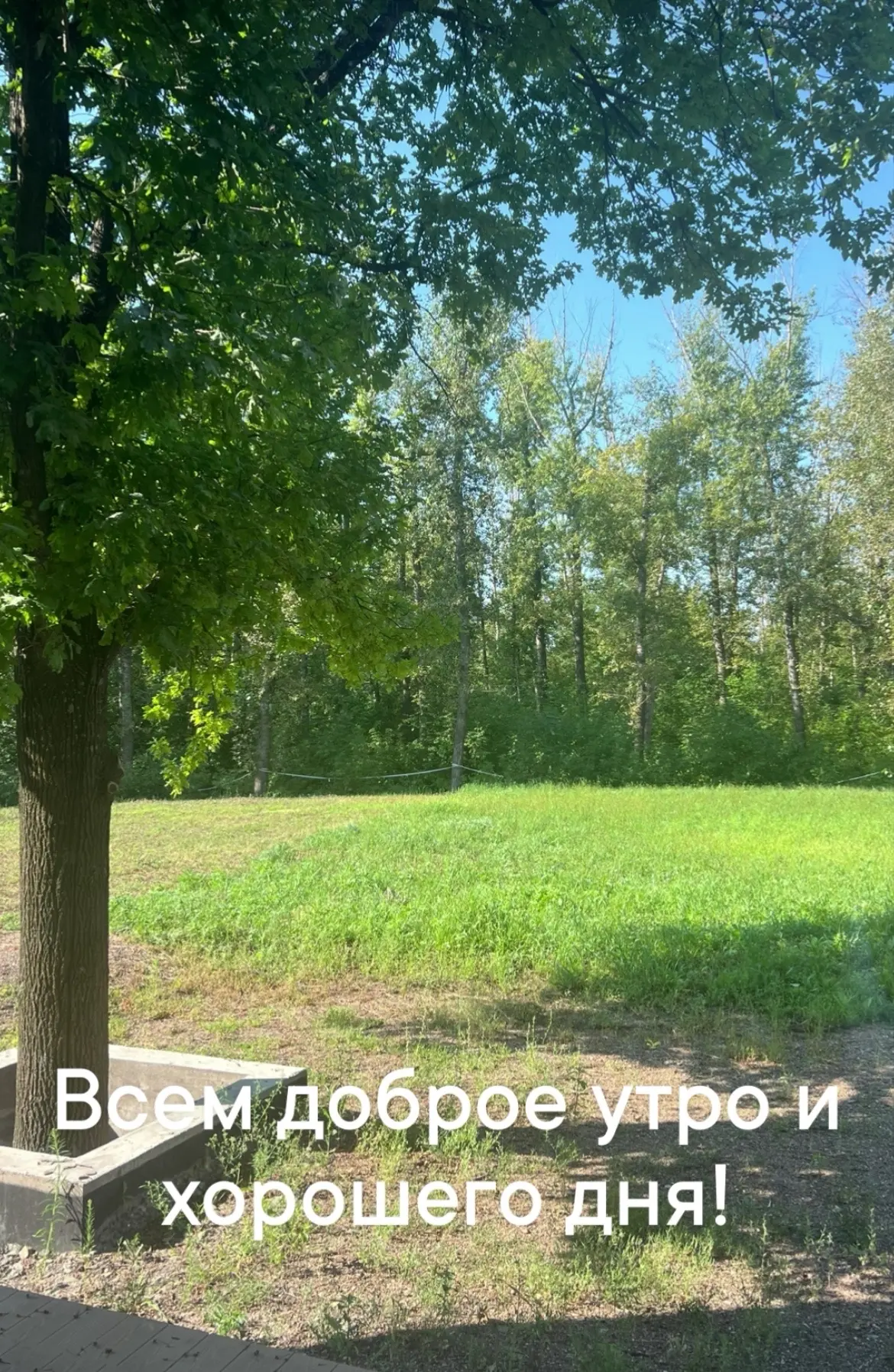 У меня в планах на сегодня домашние дела, организационные дела, моя личная тренировка и дела девочек