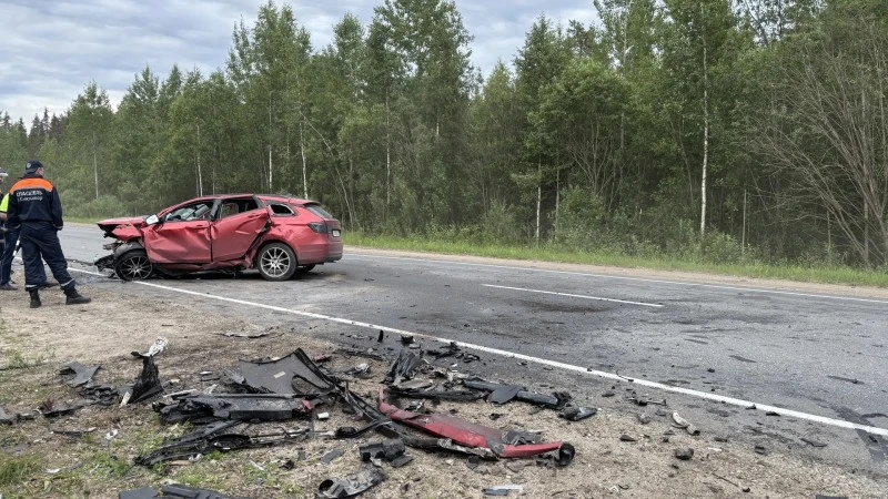 Спровоцировавший смертельную аварию на объездной Сыктывкара водитель 89 раз привлекался...
