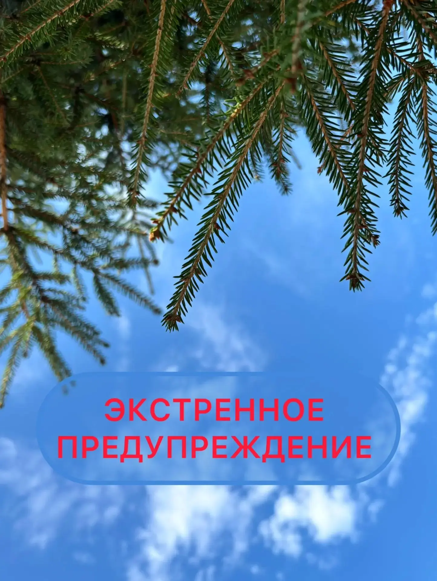 До конца дня 20 июля, сутки 21-22 июля местами пройдут ливни, грозы, крупный град, ветер 17-22 м/с, 