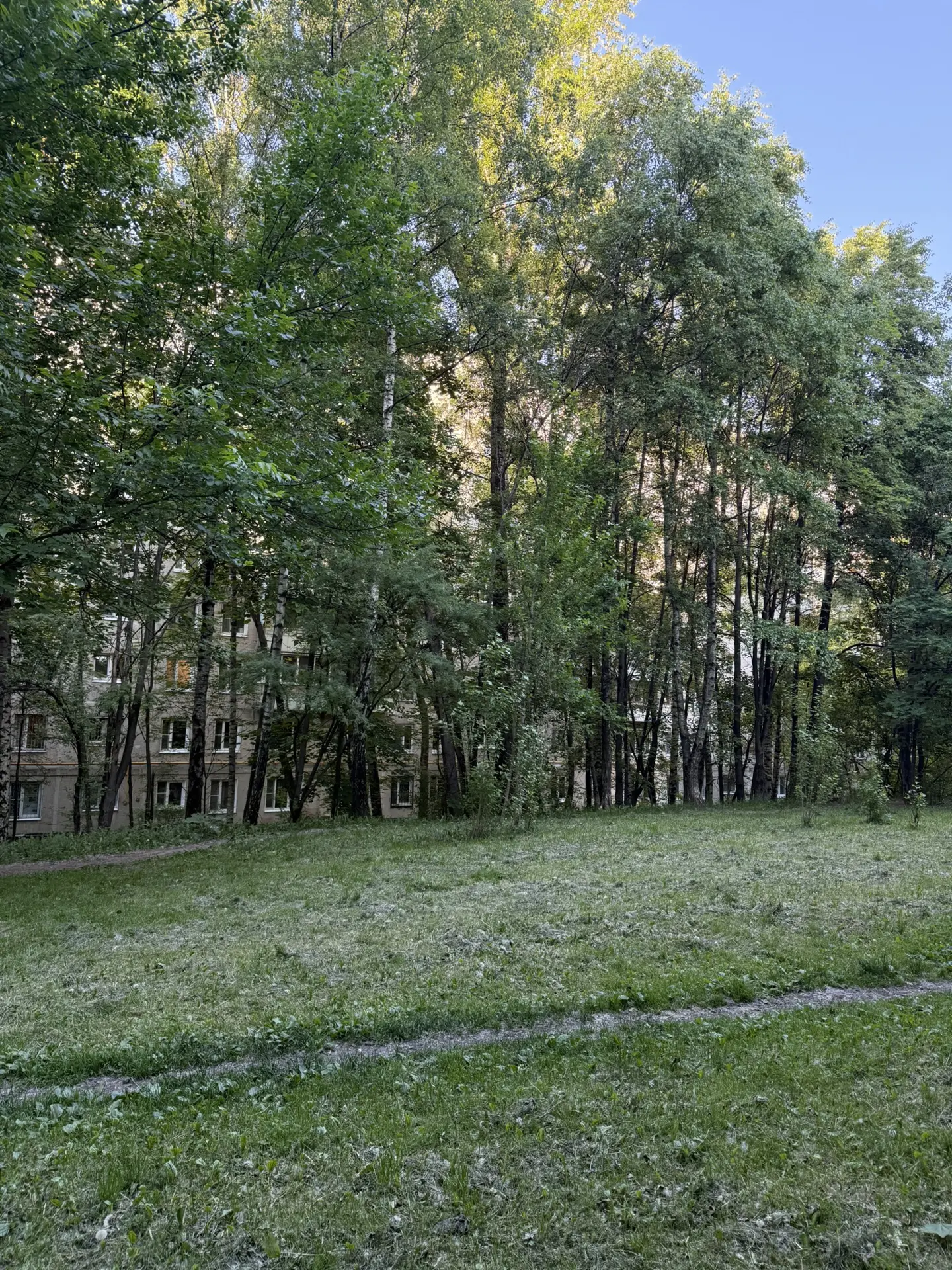 К хорошему человек быстро привыкает. Зяблики надоели уже. Подавайте соловьев, пожалуйста