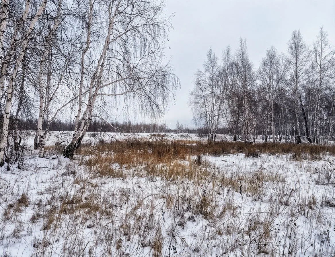 🌨Халлаан туруга