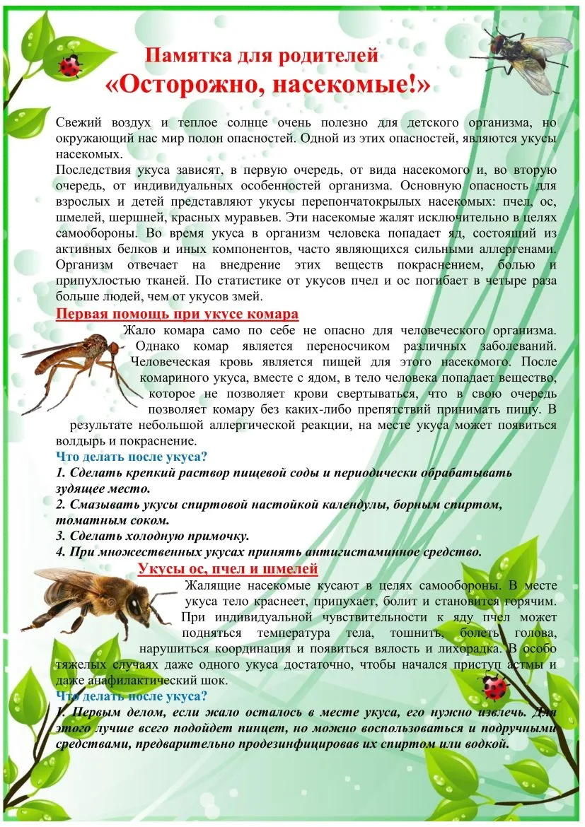 #детскийсадЕлочка40