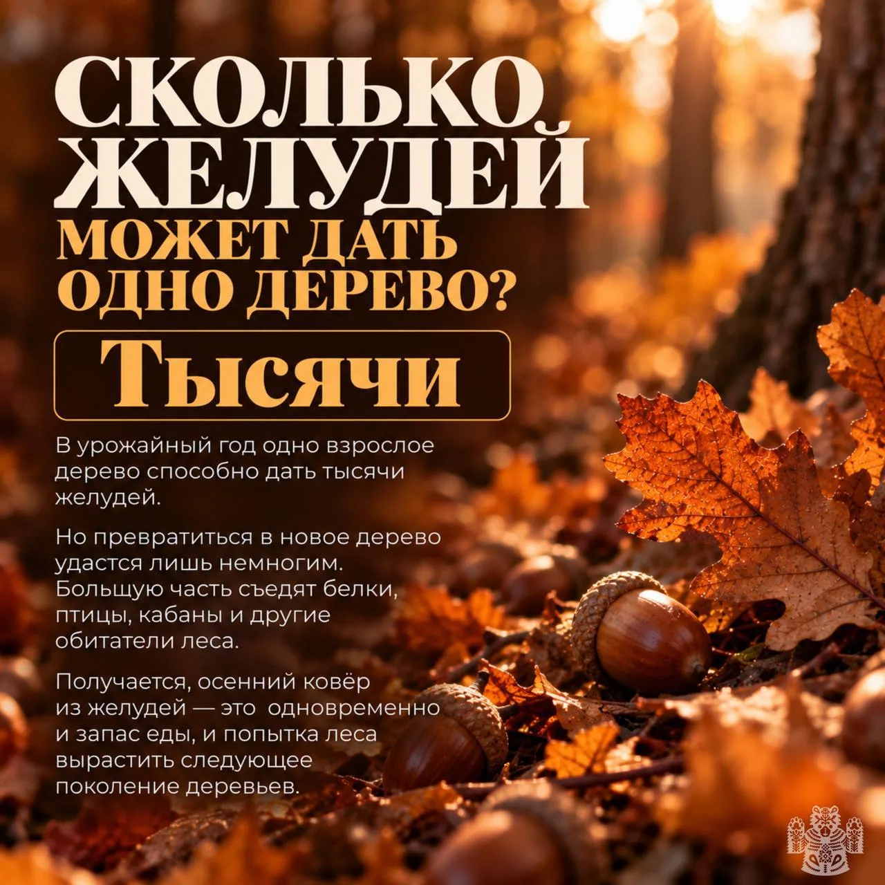 Изображение 3 к публикации «Новости Владивостока и Края»