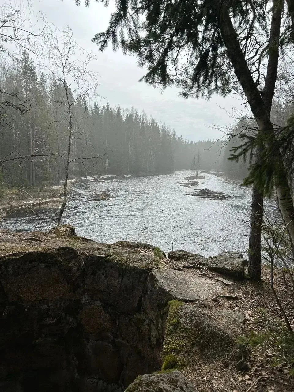 🏕️ В эфире — летняя рубрика #путешествие1580!

На каникулах ученики 10 «С» класса Богдан В. и Натал
