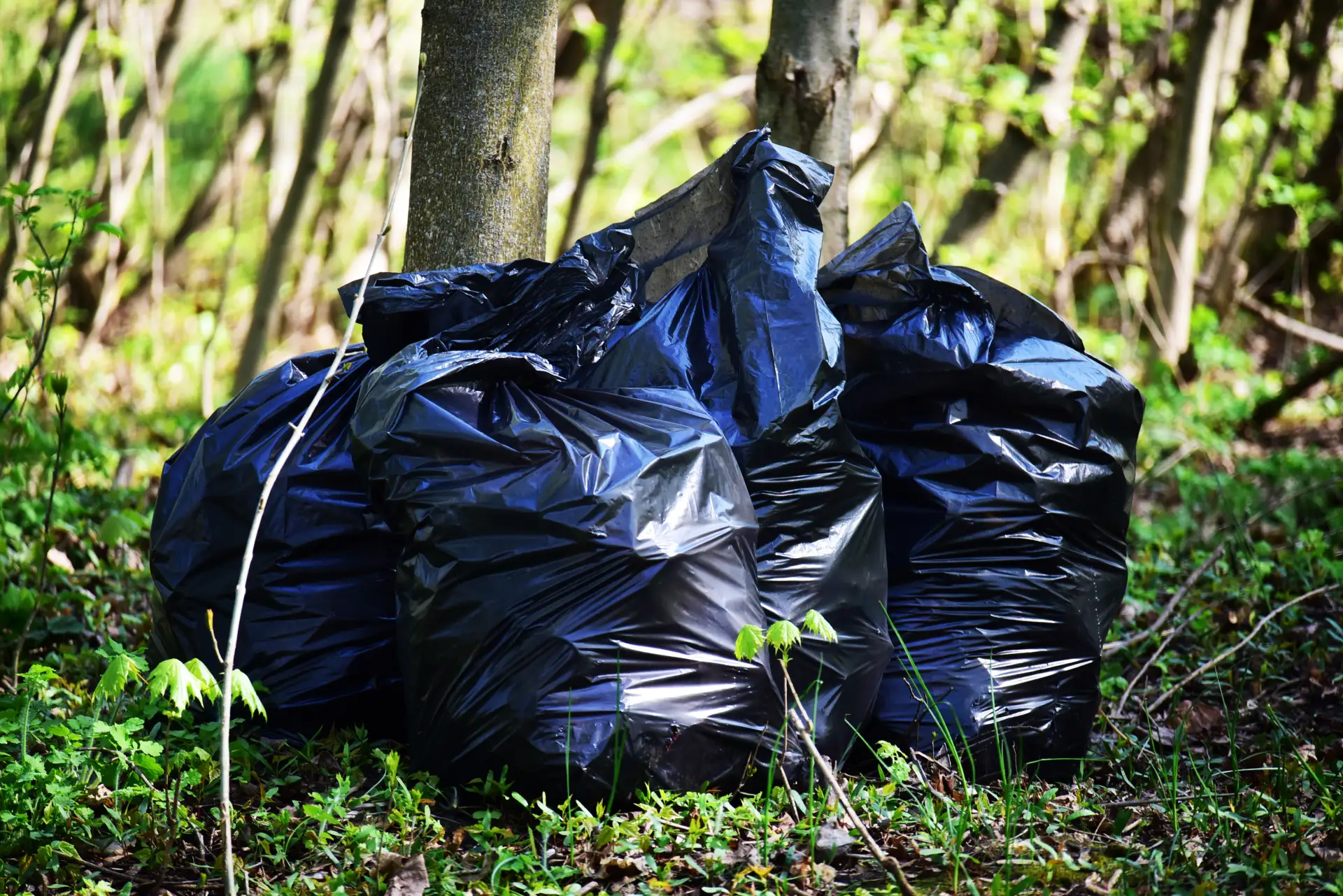 ♻️Во время апрельских субботников на Орловщине вывезли более 1600 тонн мусора  Ликвидировали 104 нес