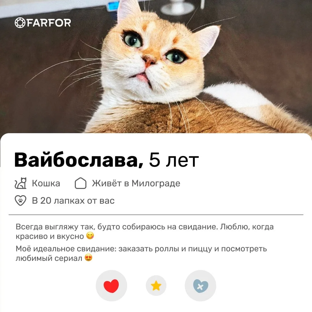 ЭТО МЭТЧ! 🧡