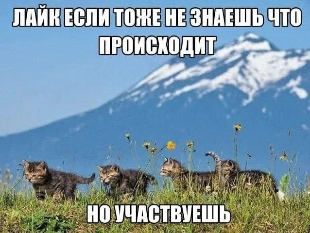 ☝️А ПРОИСХОДИТ ПОДГОТОВКА К ЩЕЛЧКУ — уже пополняется и актуализируется главная страница НА БОБРЕ 🦫  