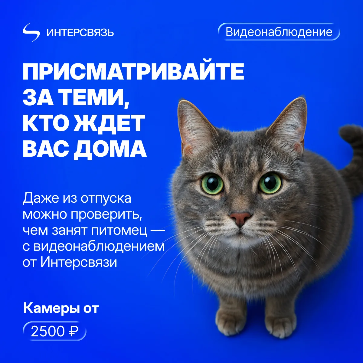 Скоро в отпуск?