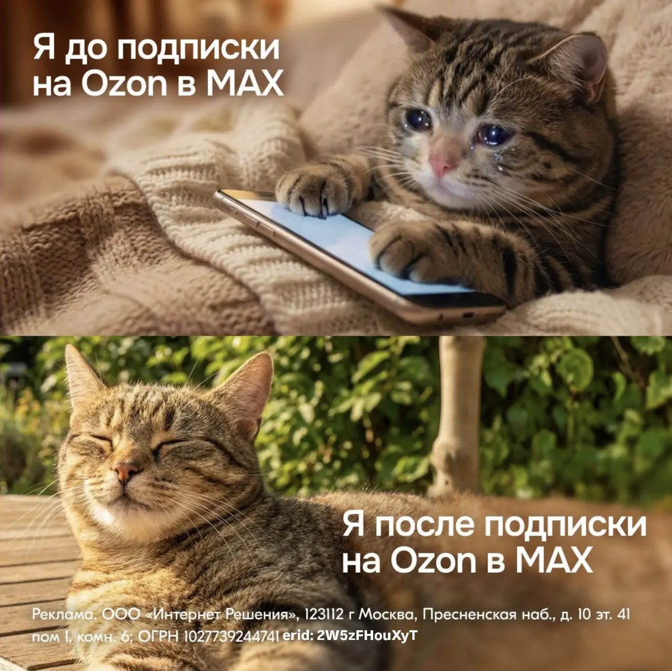💙 Канал Ozon в MAX!
