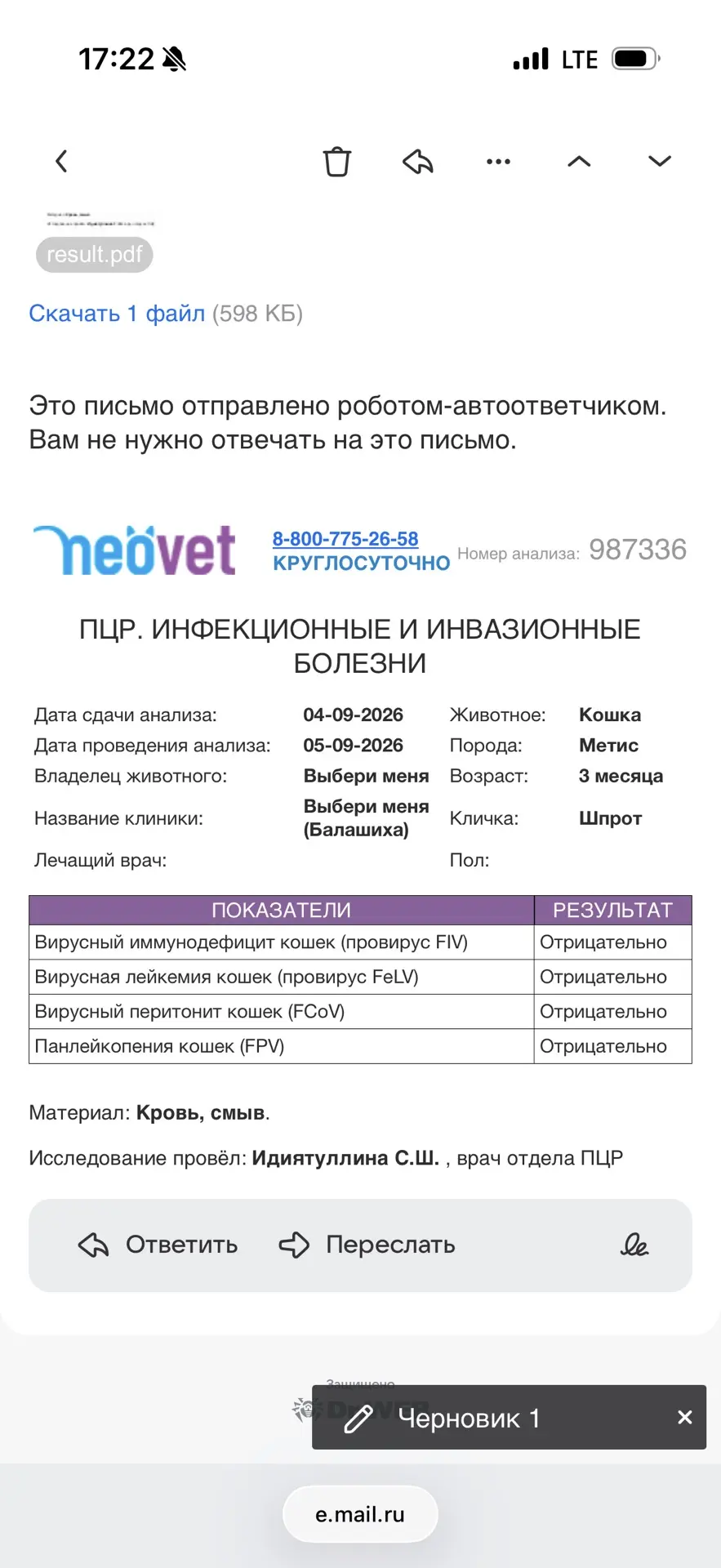 Как раз пришли анализы котят - все отрицательно🫶🏻 пора домой! Разбирайте котиков❤️‍🔥