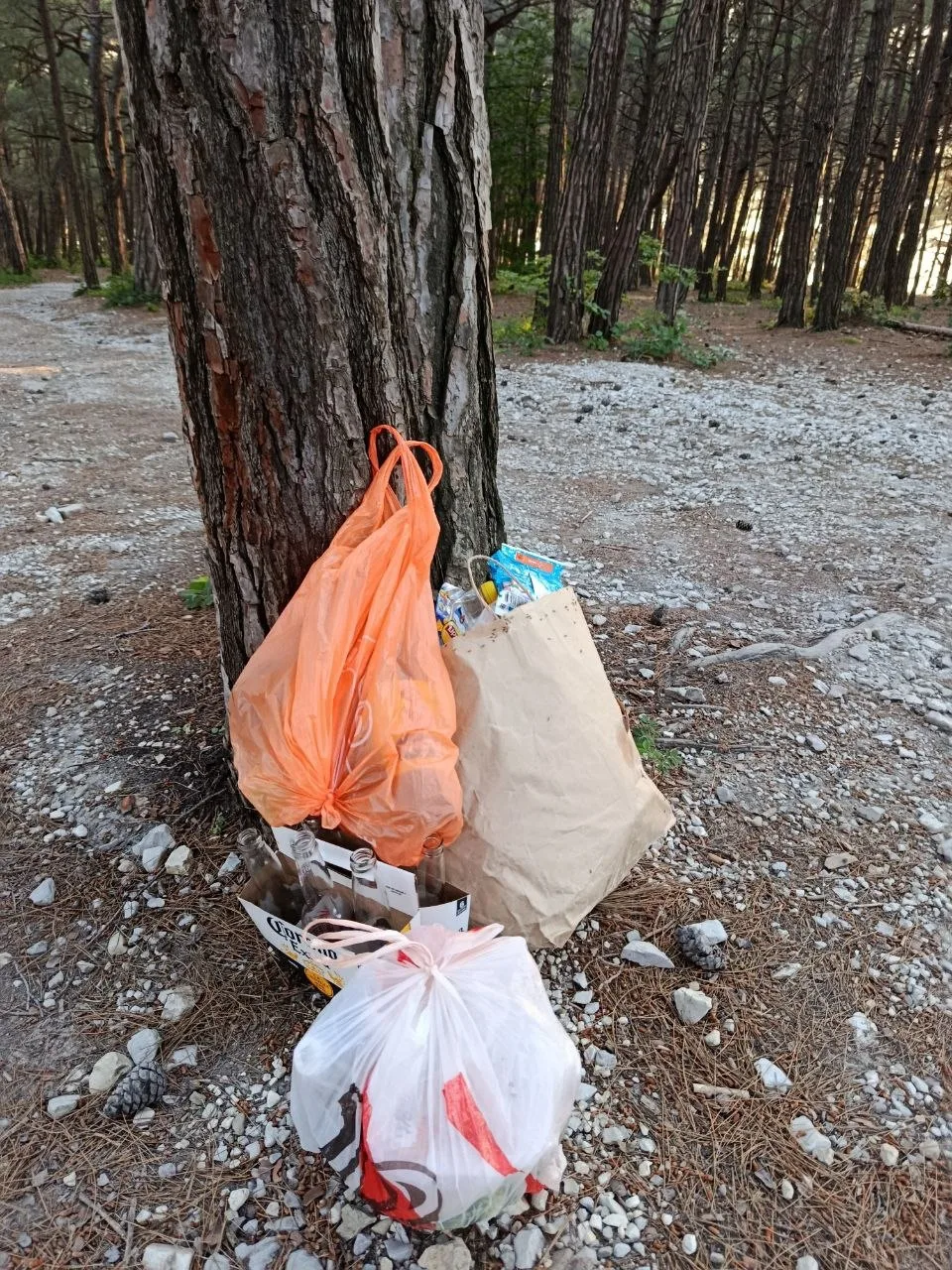 Подписчики сообщают: