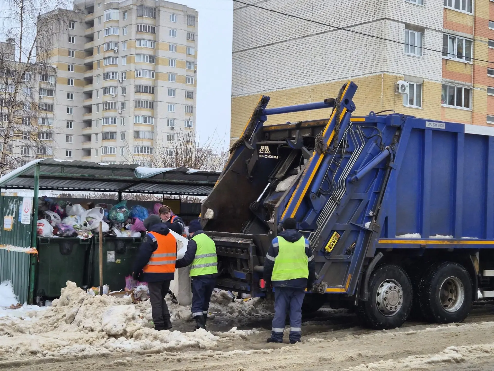 За время новогодних каникул с территории Тамбовской области было вывезено почти 6,5 тыс...