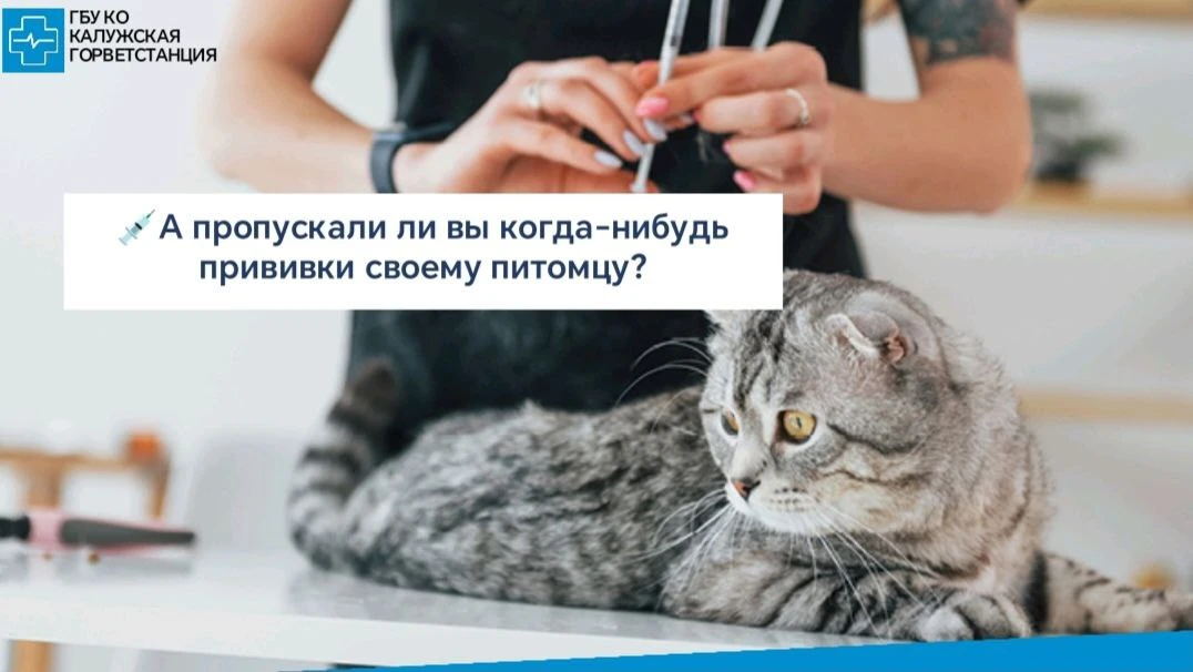 Схемы вакцинации: