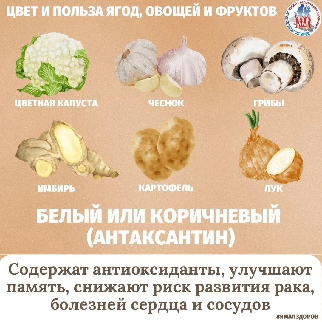 Чтобы быть здоровым, нужно съедать каждый день минимум 5 порций свежих овощей и фруктов (не менее 40