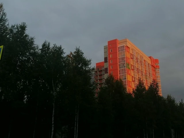 💞Какой неважной ерундой вы сегодня занимались вместо важного дела? Тоже бывает.

Фото: Это Юганск