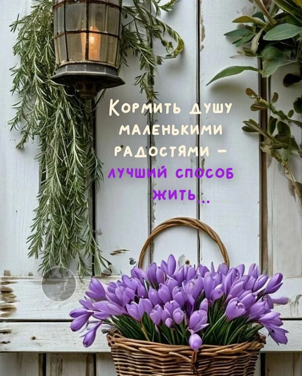Не теряй нас, жми подписаться👇
ВОЛШЕБНЫЕ ОТКРЫТКИ И ПОЗДРАВЛЕНИЯ
