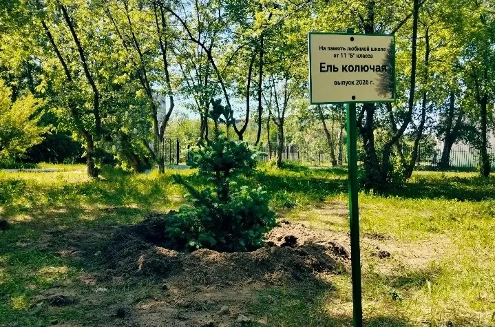 Новая глава в истории школы: 11 «Б» заложил красивую традицию! 🌲🎓  У каждого выпуска — своя история,
