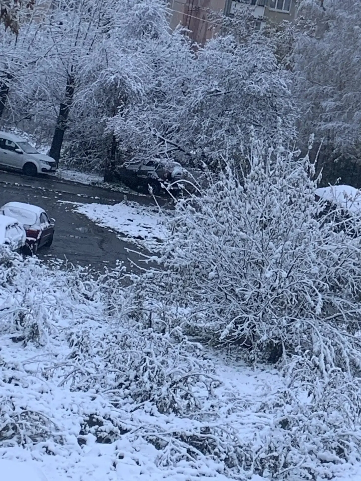 ❄️Что ж, теперь не снежок, теперь снежище)))