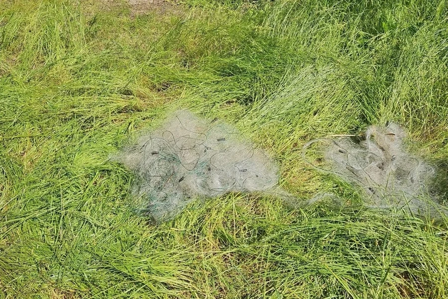 В Виштынецком нацпарке задержали браконьера с рыбой и сетями

Госинспекторы национального парка «Виш