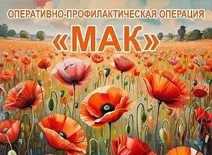 РЕГИОНАЛЬНАЯ МЕЖВЕДОМСТВЕННАЯ КОМПЛЕКСНАЯ ОПЕРАТИВНО-ПРОФИЛАКТИЧЕСКАЯ ОПЕРАЦИЯ «МАК - 2...