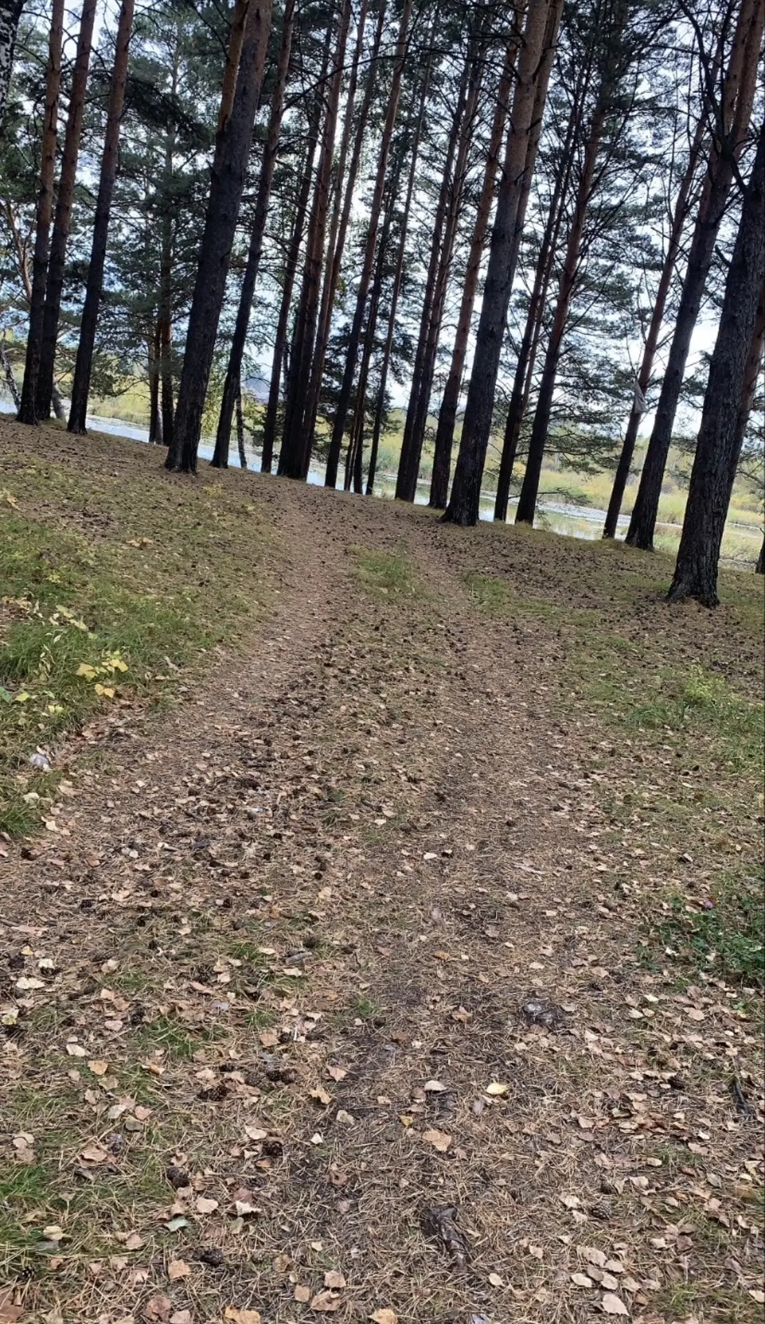 Доброе утро!