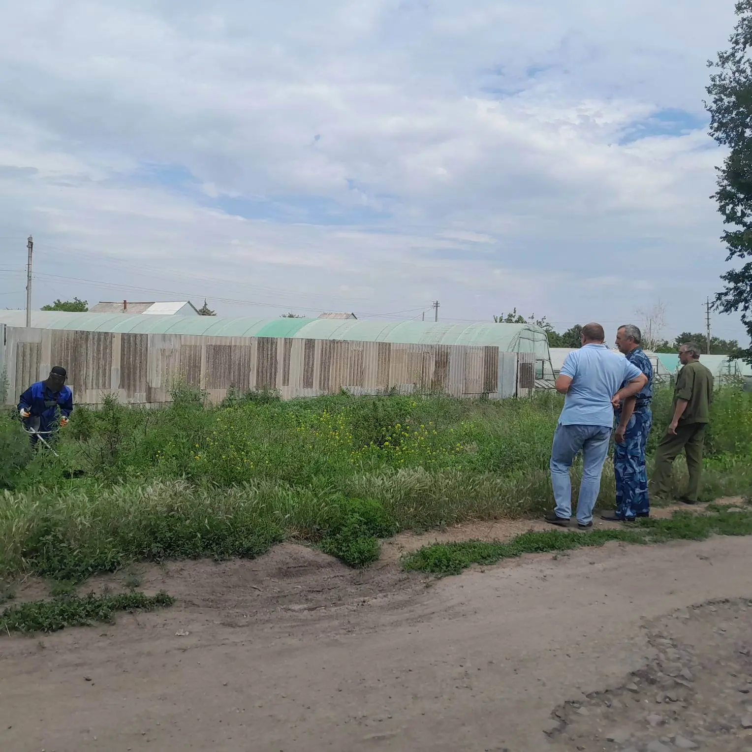 23.06.2026 в рамках проведения акции «Единый день борьбы с дикорастущей коноплей» сотрудниками админ