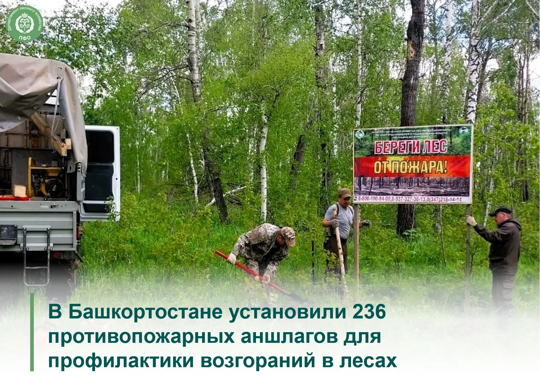🟢 Профилактика лесных пожаров остается одним из ключевых направлений работы лесоводов Башкортостана