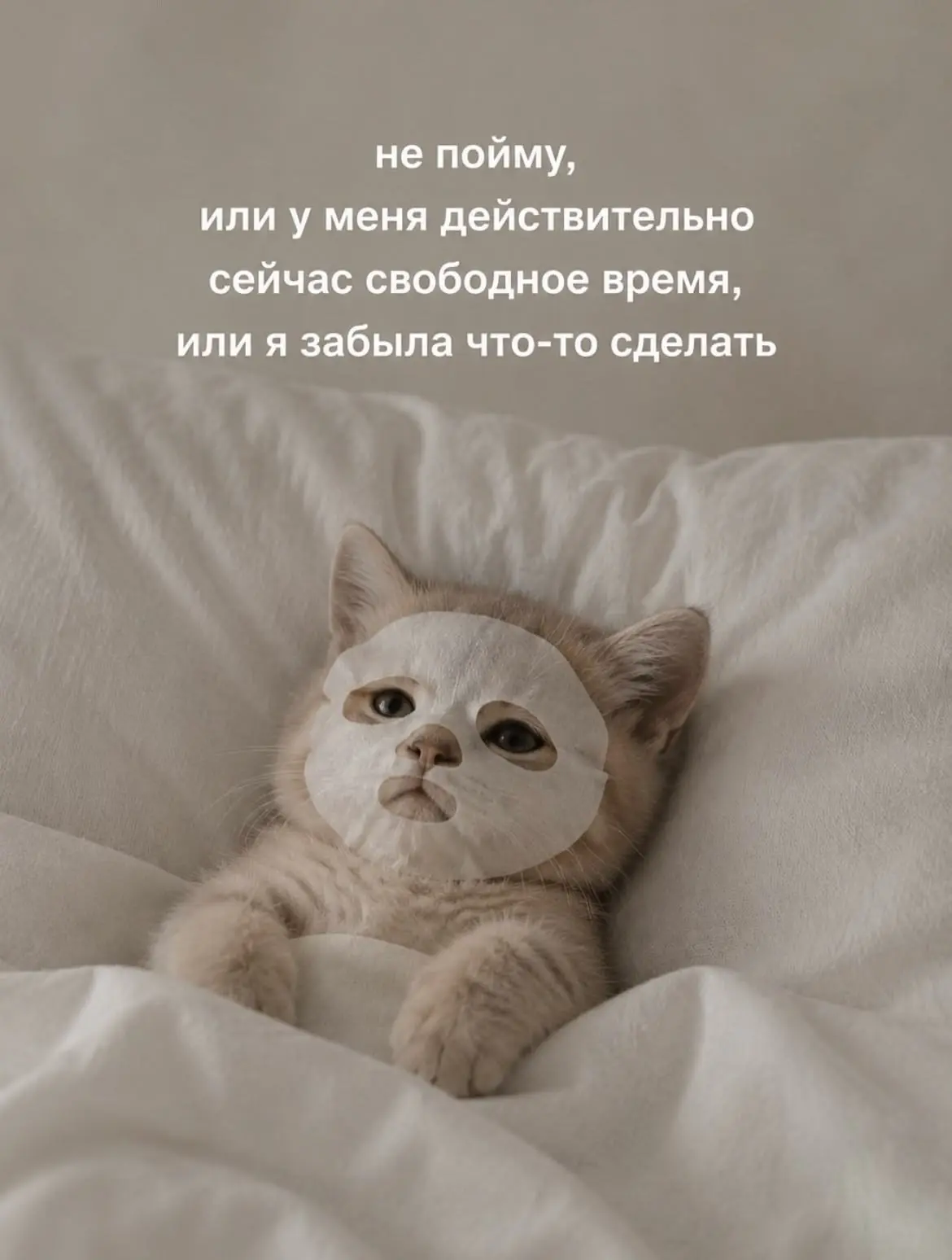 Воскресенье би лайк: