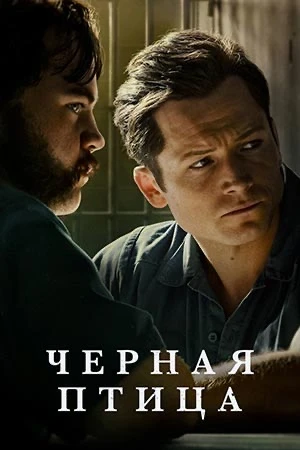 «Черная птица» - шикарный мини сериал, про маньяка основанный на реальных событиях