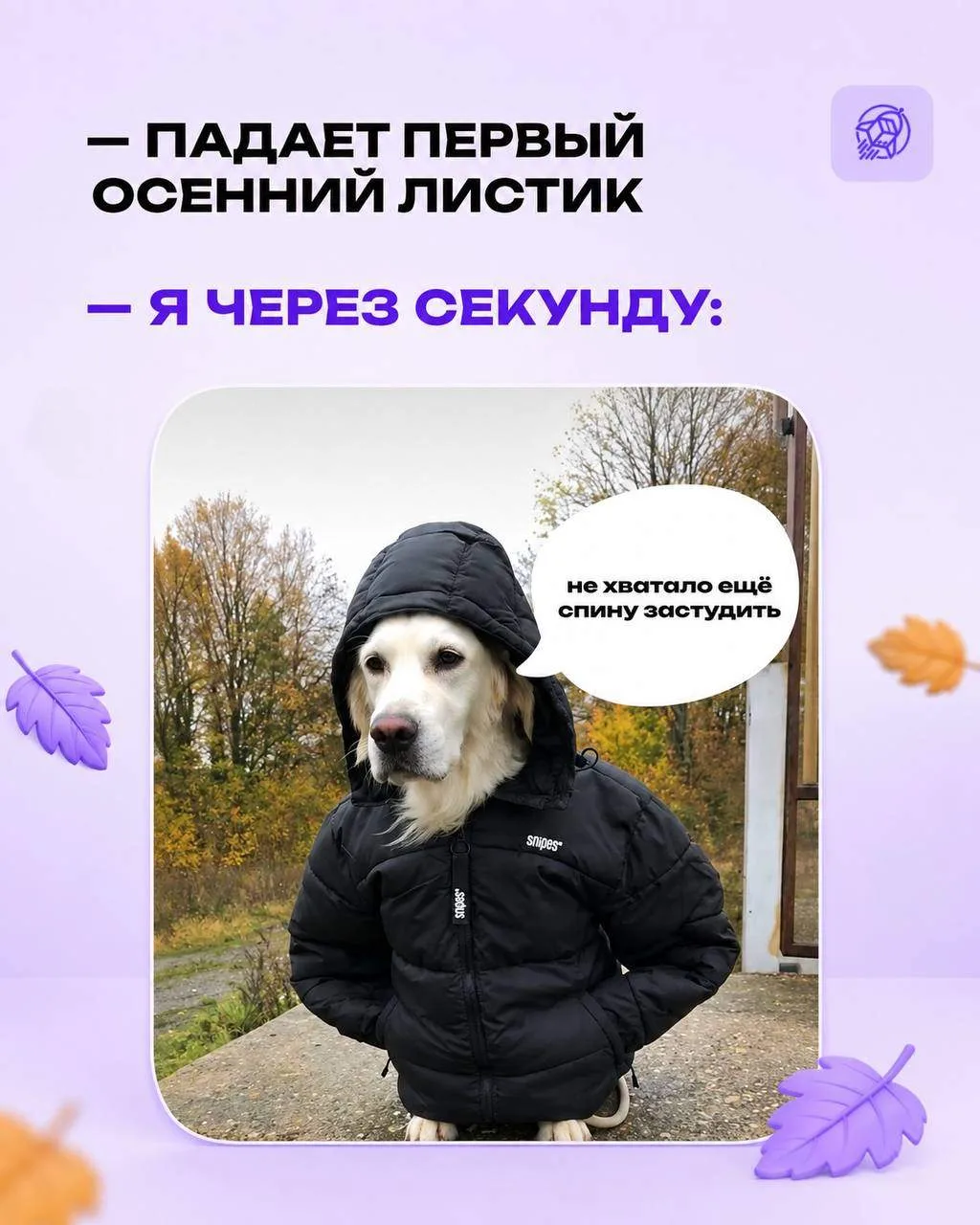31 августа. Время года: отрицание