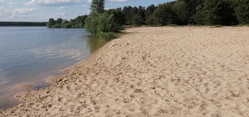 🌿 Забота о природе — общее дело!
На территории государственного заказника «Липецкий» прошла уборка 