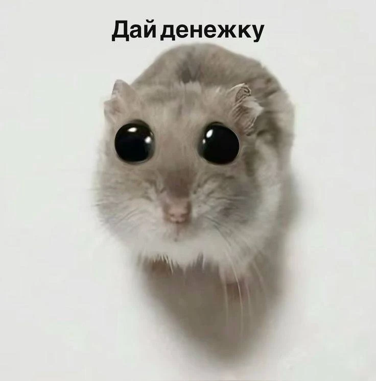 В Ростовской области больше 4,4 тысячи жителей получили налоговый вычет за занятия спор...